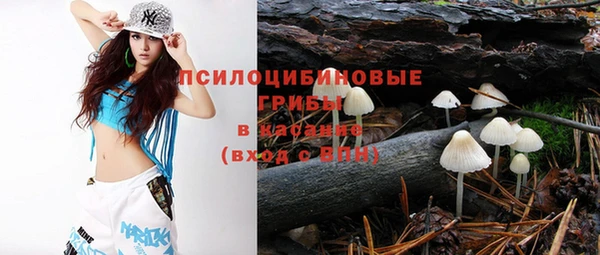 ешки Гусев