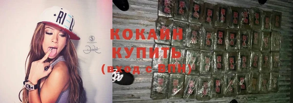 ешки Гусев