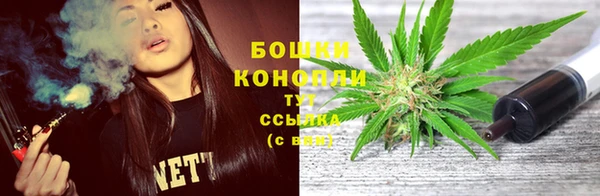 ешки Гусев