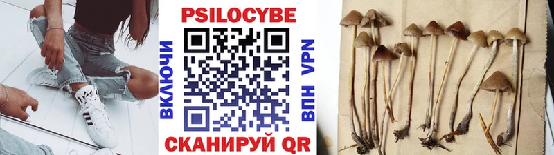 Купить где Белокуриха Галлюциногенные грибы Magic Shrooms
