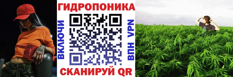 Купить Белокуриха Канабис SATIVA & INDICA